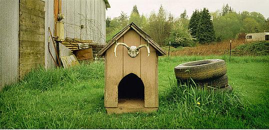 《铁拳8》下次更新将追加拍照模式 万代将举办拍照大赛